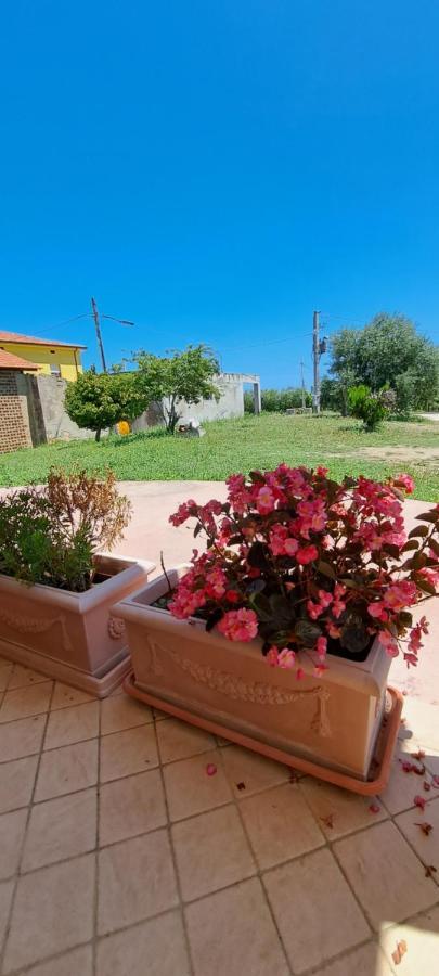 B & B Le Tre Rose Tollo Bagian luar foto