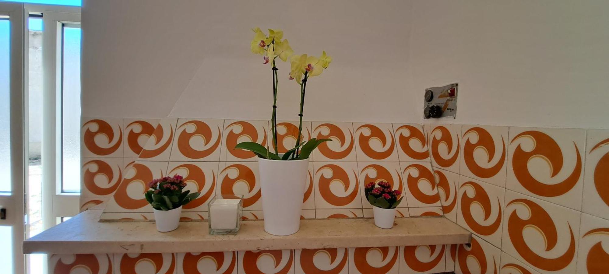 B & B Le Tre Rose Tollo Bagian luar foto