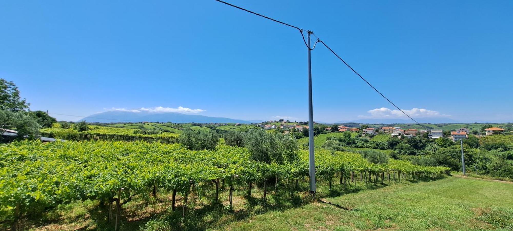 B & B Le Tre Rose Tollo Bagian luar foto